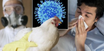Bird flu? Don’t worry, we fired the scientists